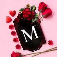 m word dp